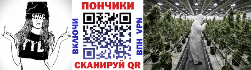 Бошки марихуана Bruce Banner  Углегорск 